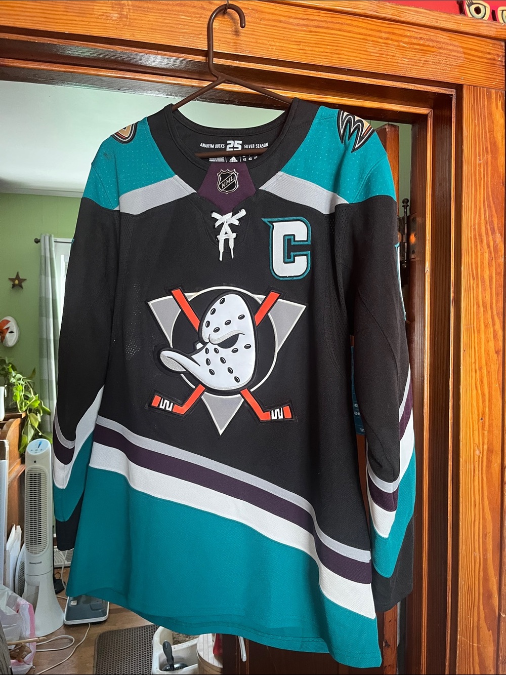 Anaheim ducks silver season jersey